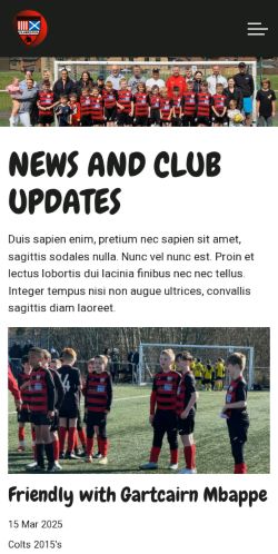 Mobile page screenshot