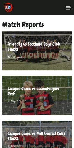 Mobile page screenshot