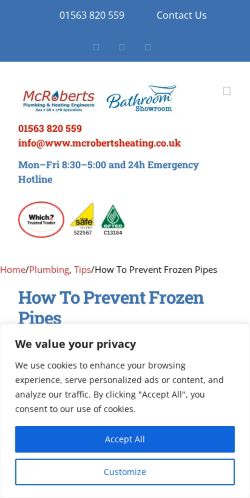 Mobile page screenshot