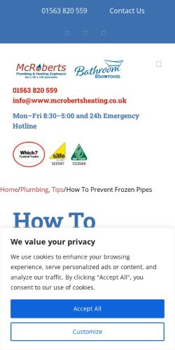 Mobile page screenshot