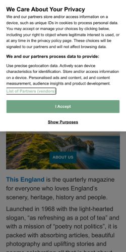 Mobile page screenshot
