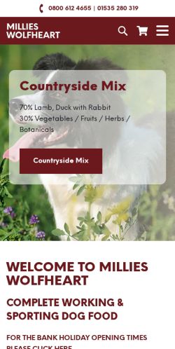 Mobile page screenshot