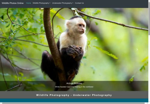 Desktop page screenshot