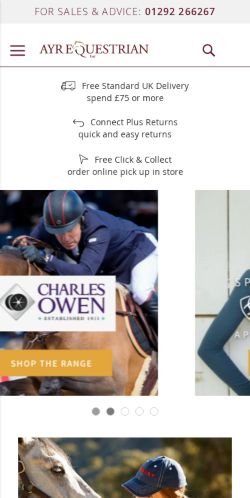 Mobile page screenshot