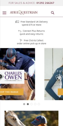 Mobile page screenshot